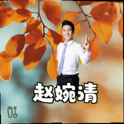 赵婉清